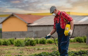 Pesticide Powder