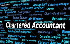 Chartered Accountant