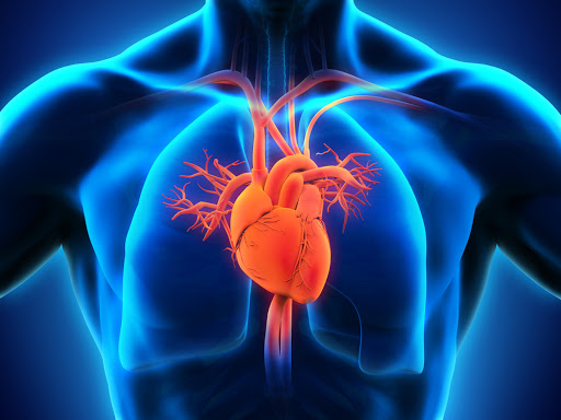 Cardiopulmonary